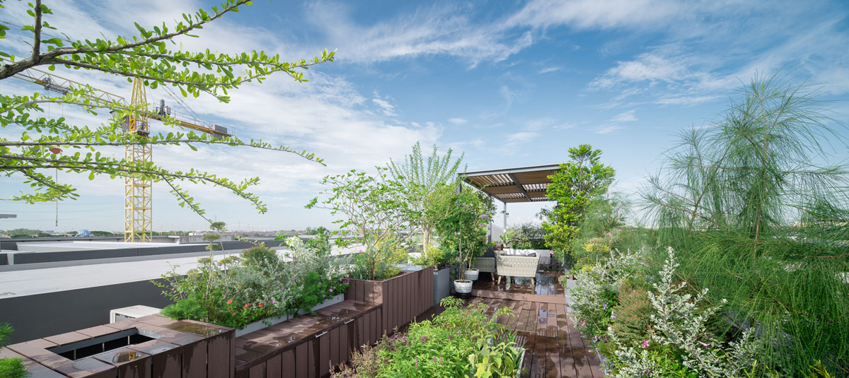 What are Rooftop Gardens? - Korotkin Associates